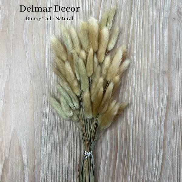 Dried Bunny Tail, floral decor - White & Lavender