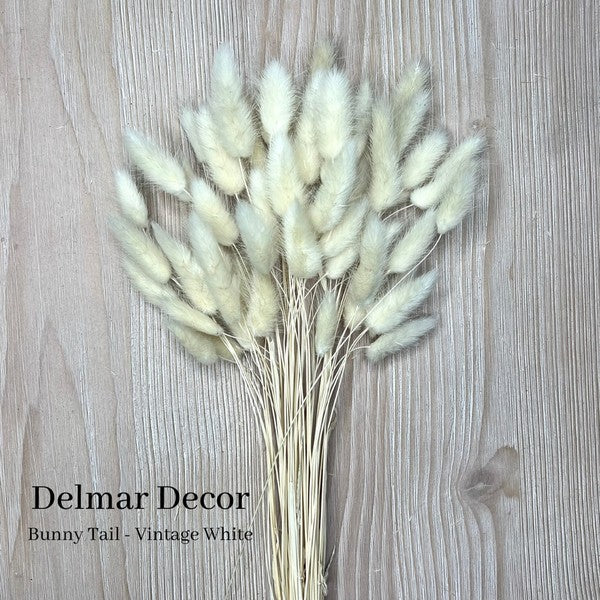 Dried Bunny Tail, floral decor - White & Lavender