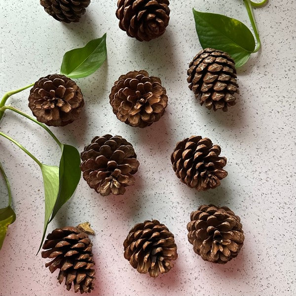 Pinecones - bag of 10