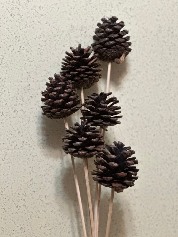 Pinecones on a stick